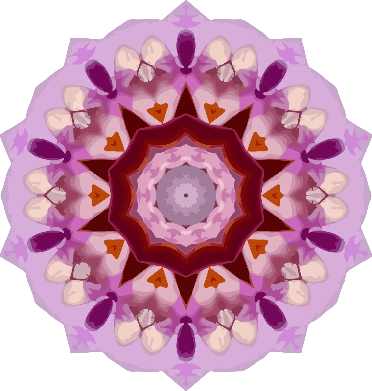 Orchid kaleidoscope 6