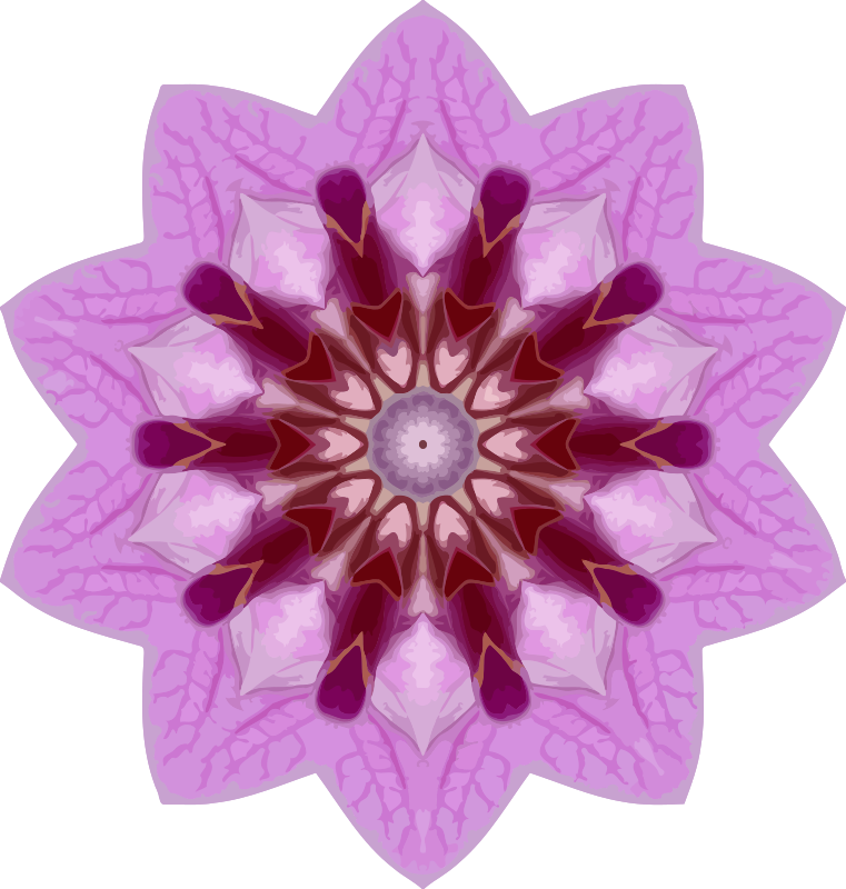 Orchid kaleidoscope 7