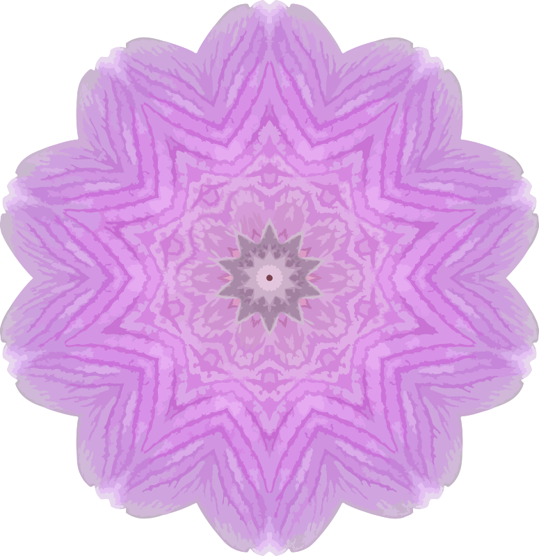 Orchid kaleidoscope 9