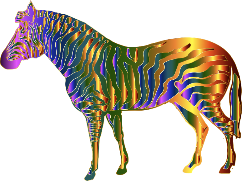 Chromatic Zebra