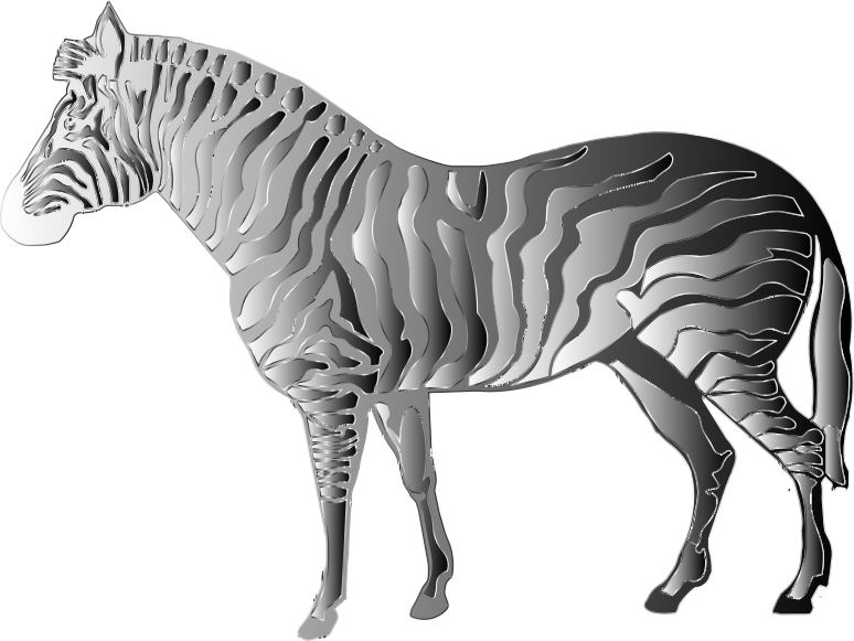 Monochrome Zebra