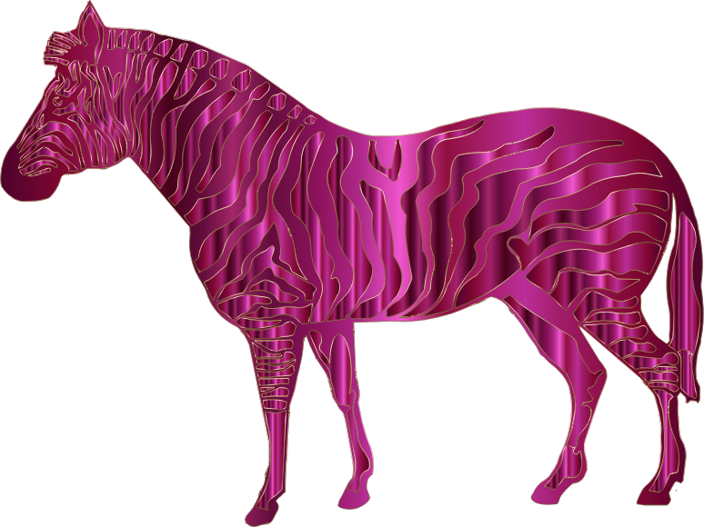 Fuchsia Zebra