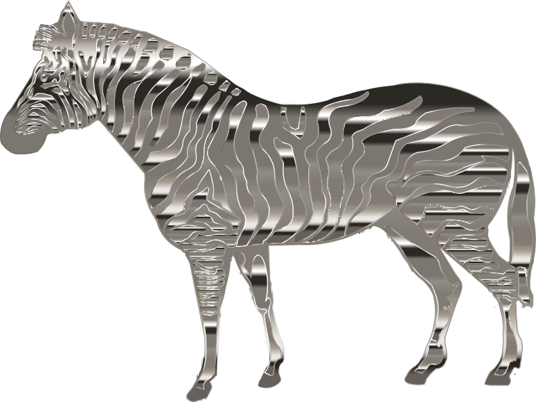 Chrome Zebra