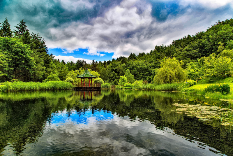 Lush Verdant Chinese Lake