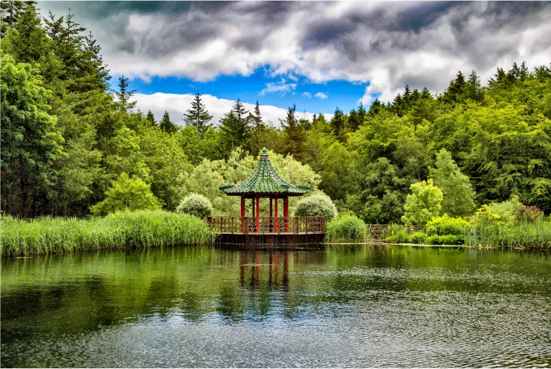 Lush Verdant Chinese Lake 2