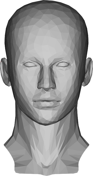 Low Poly Female Head