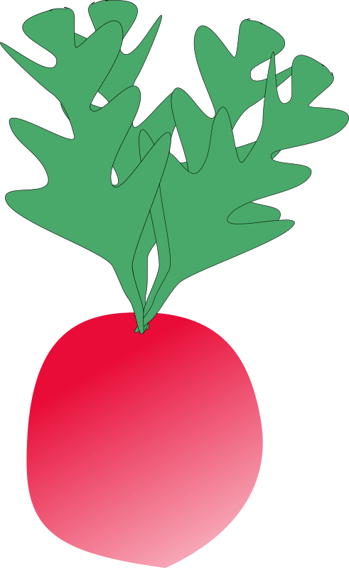 radish