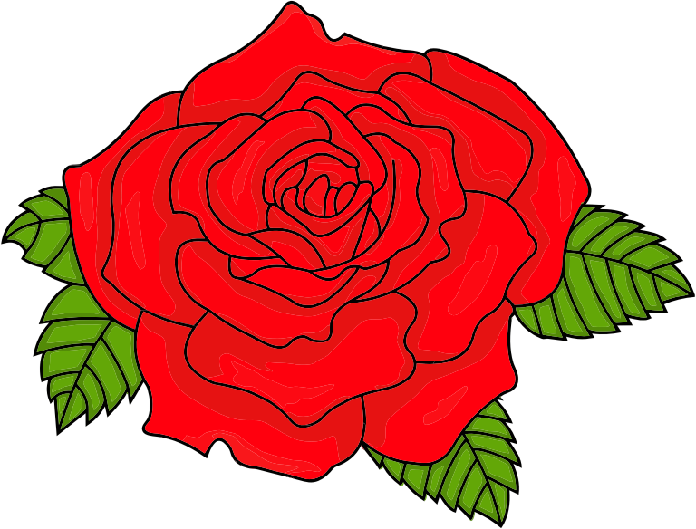 Shaded Red Rose