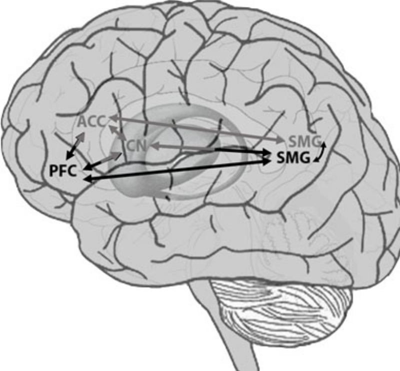 Language Control Model