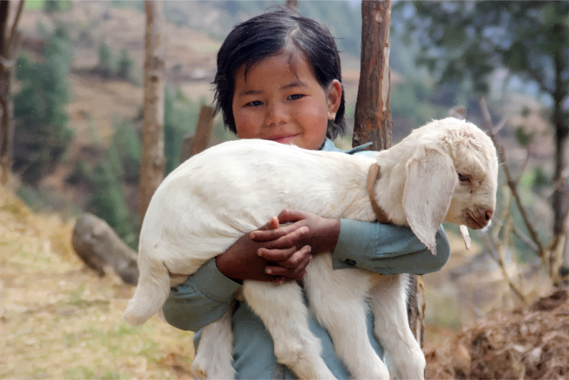 A Cutiepie Carrying A Cutiepie