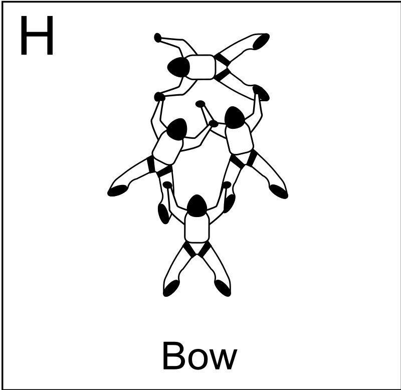 Figure H - Bow, Vol relatif à 4, Formation Skydiving 4-Way