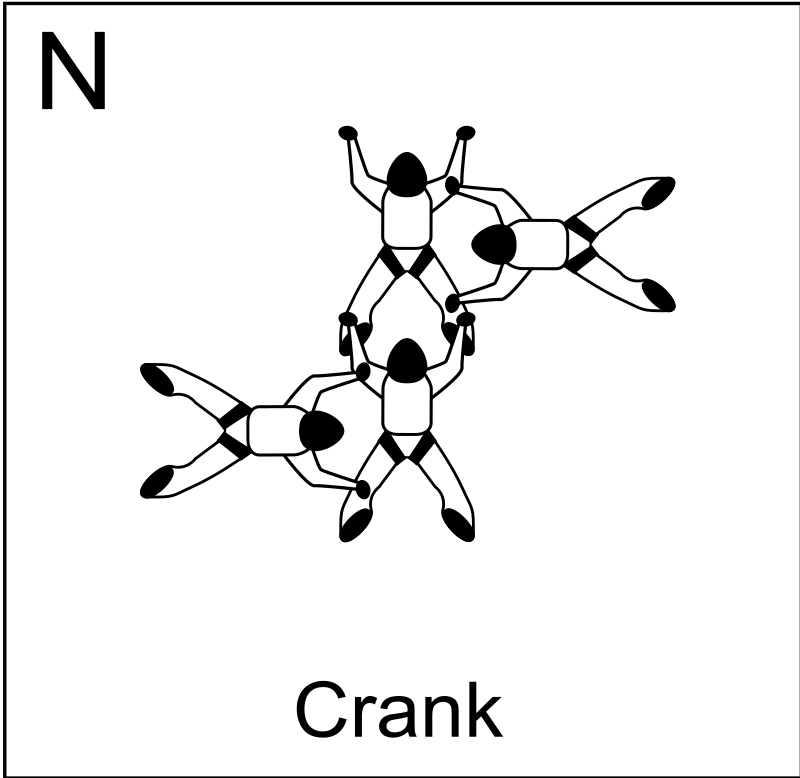 Figure N - Crank, Vol relatif à 4, Formation Skydiving 4-Way