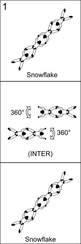 Bloc 1 - Vol relatif à 4, Block 1 - Formation Skydiving 4-Way