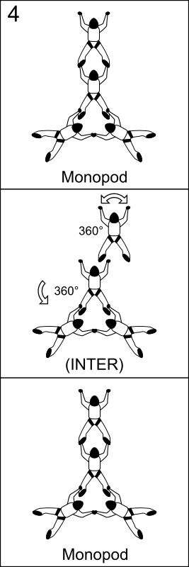 Bloc 4 - Vol relatif à 4, Block 4 - Formation Skydiving 4-Way