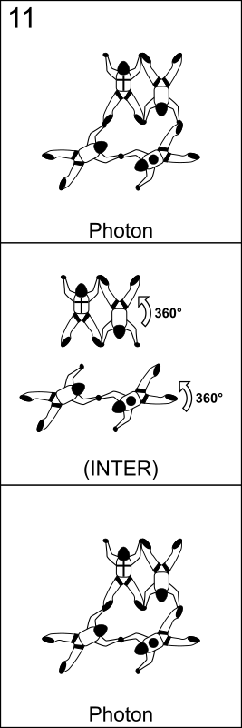 Bloc 11 - Vol relatif à 4, Block 11 - Formation Skydiving 4-Way