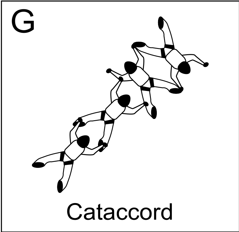 Figure G - Cataccord, Vol relatif à 4, Formation Skydiving 4-Way