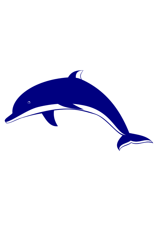 Dolphin