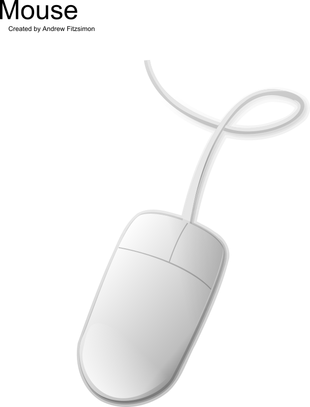 Computer Mouse