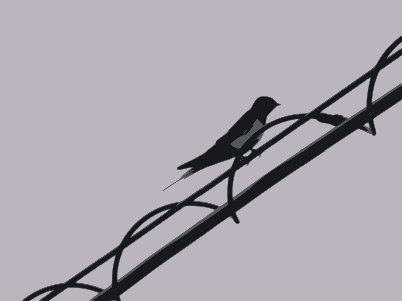 swallow on wire