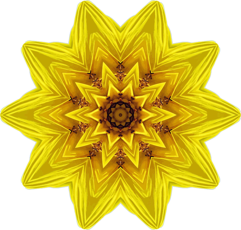 Sunflower kaleidoscope 3