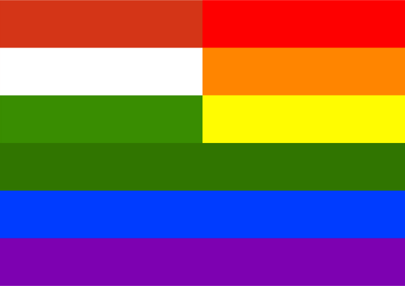 Rainbow Flag Hungary