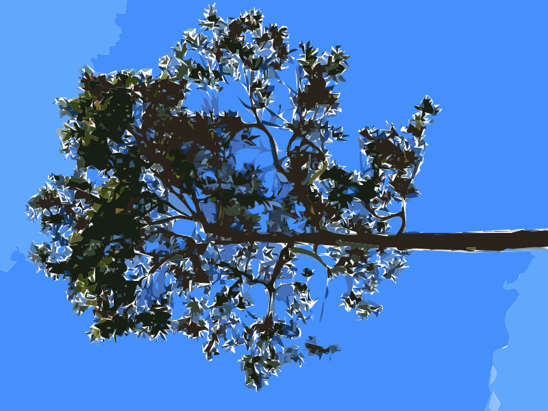 Hong Kong Repulse Bay Beach Tree