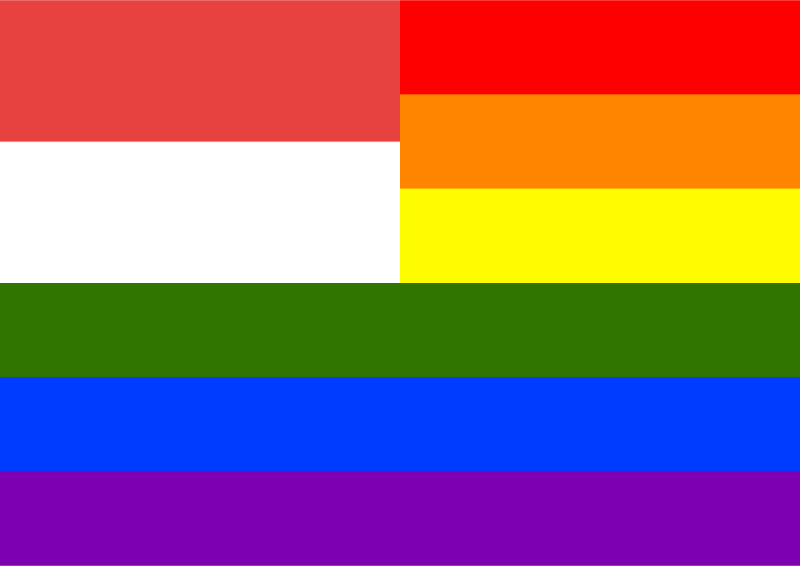 Rainbow Flag Solothurn