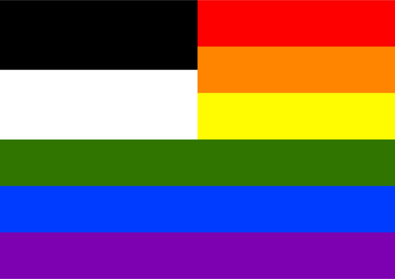 Rainbow Flag Fribourg