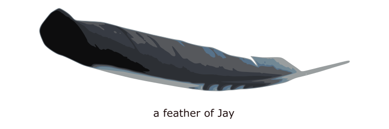 feather of Jay