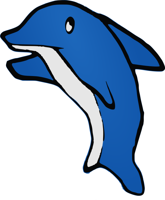 Dolphin