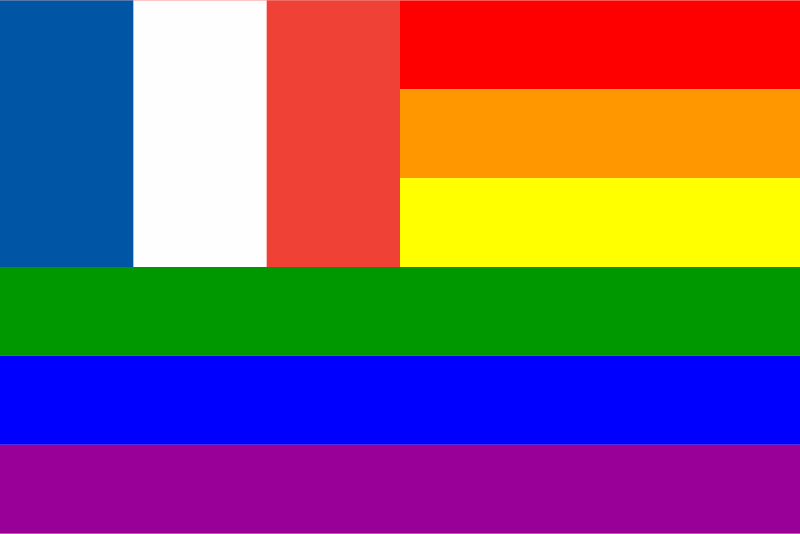 France Rainbow Flag