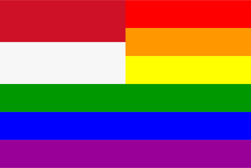 The Indonesia Rainbow Flag