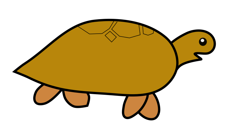 turtle