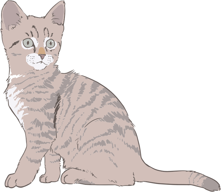 Kitten Line Art Colored