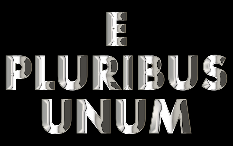 E Pluribus Unum Chrome Typography
