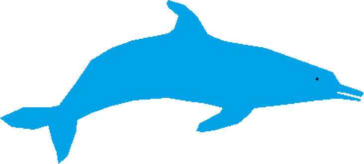 Dolphin