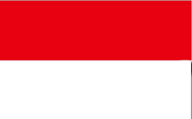 Indonesia flag