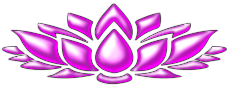 Lotus flower 4