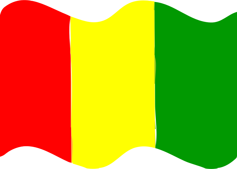 Flag of Guinea wave