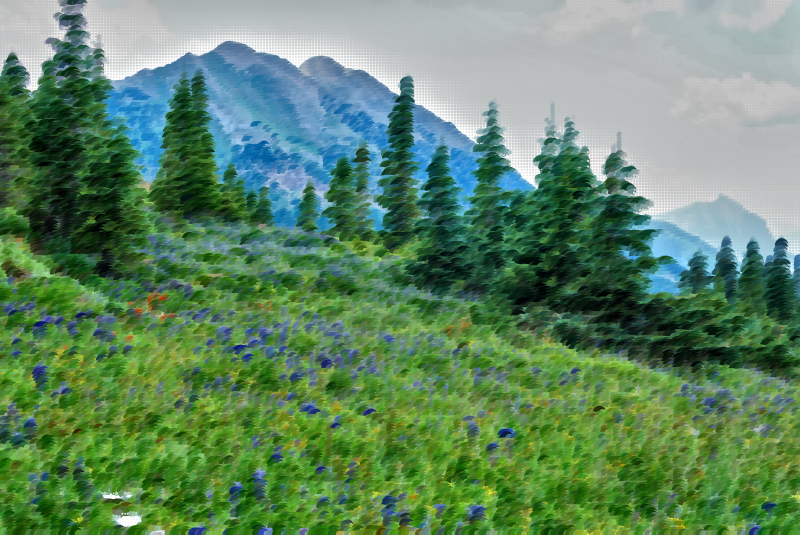 Surreal Mountain Meadow