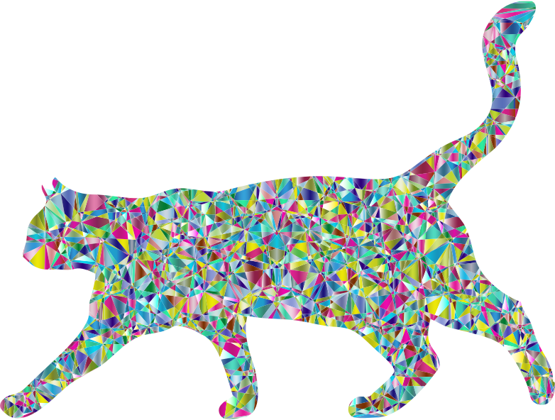 Chromatic Crystal Cat