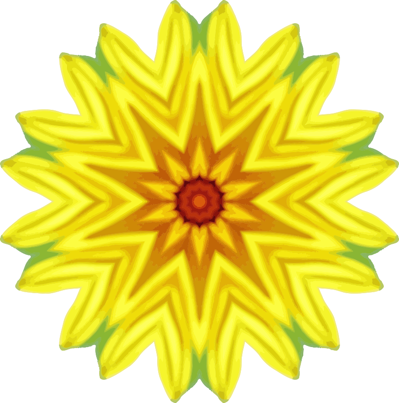 Sunflower kaleidoscope 13