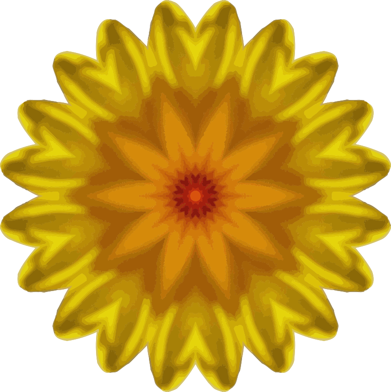 Sunflower kaleidoscope 14