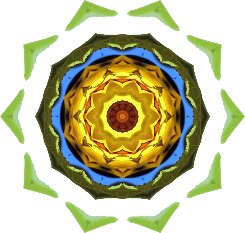 Sunflower kaleidoscope 23