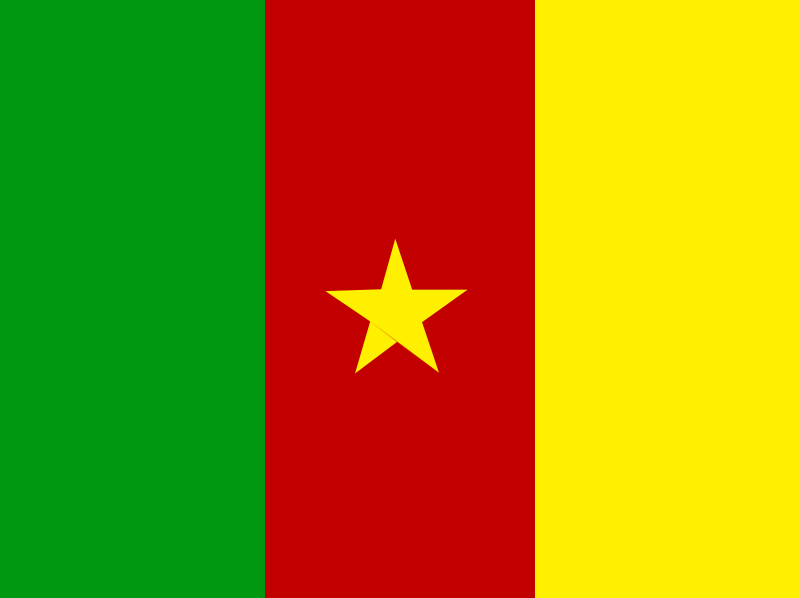 flag of Cameroon