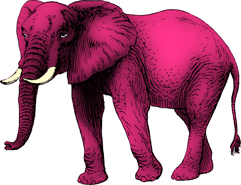 Pink elephant