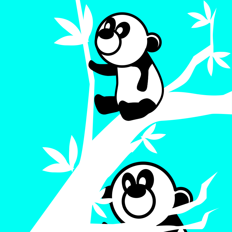 panda