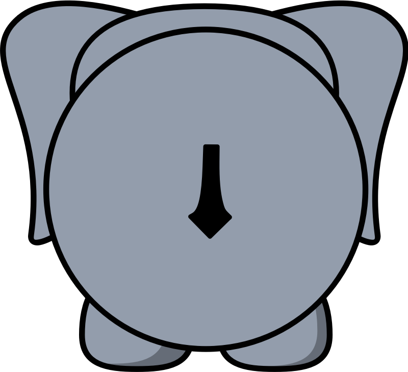 elephant BACK