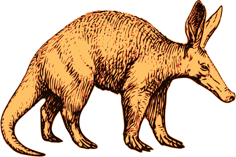 Aardvark