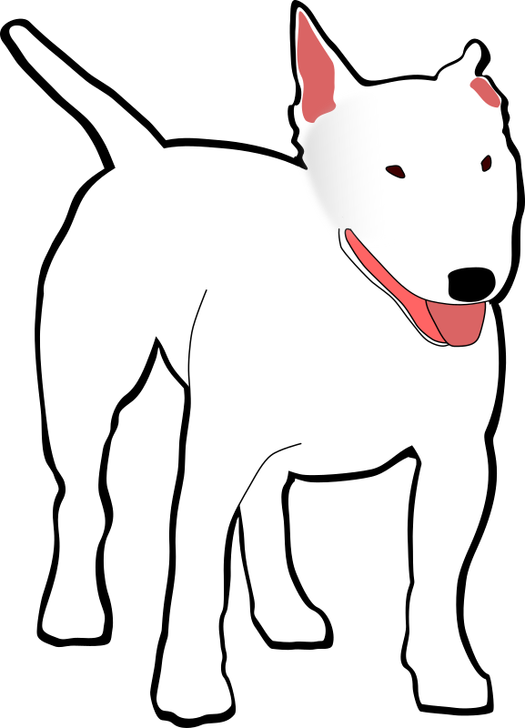 bullterrier